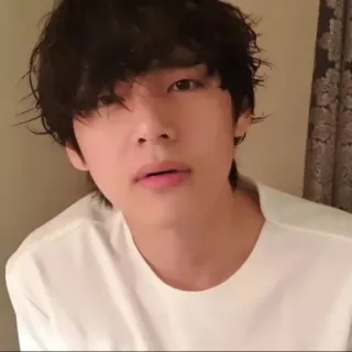 🧸 personne, homme, masculin, kpop, chanteur, artiste, célébrité telegram sticker