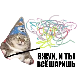 ✨ kat, tovenaar, magie, dier, huisdier, grappig telegram sticker