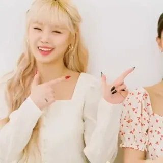 🐚 whatsapp sticker