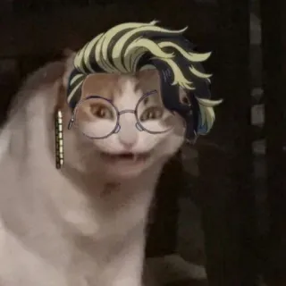 😀 cat, meme, funny, anime hair, glasses whatsapp sticker
