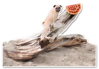 Pug telegram stickers