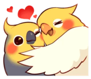 💏 นก, ค็อกคาเทล, ความรัก, หัวใจ, น่ารัก, สัตว์, ความรักใคร่ telegram sticker
