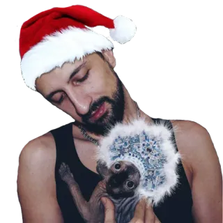 😀 мужчина, шапка деда мороза, сфинкс, рождество, питомец whatsapp sticker
