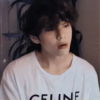 ☁️ CELINE persona, retrato, hombre, camiseta, kpop, celebridad telegram sticker