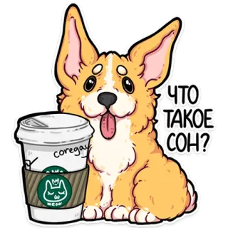 корги кодеры (@kotypic) whatsapp stickers