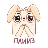 🥺 Please implorare, coniglio, supplicante, carino, adesivo whatsapp sticker