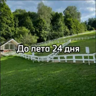☀️ До лета 24 дня verano, cuenta atrás, naturaleza, verde, campo, valla telegram sticker