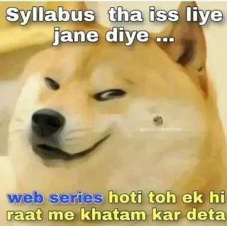 🐕 ғᴜᴍɴʏ ᴅᴏɢ [8] 😹 @punithgowdastickersin whatsapp stickers