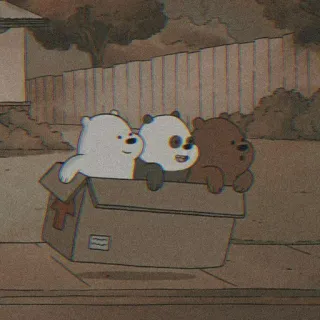 🧃 bears, cartoon, box, cute, animals whatsapp sticker