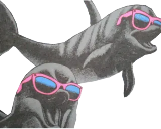 dolphin telegram stickers