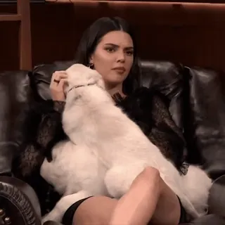 ☕️ Kendall Jenner собака, животное, милый, женщина, модель, питомец telegram sticker