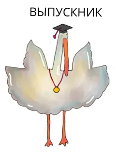 👩‍🎓 ВЫПУСКНИК 졸업, 새, 학사모, 황새, 만화, 학생, 졸업장 telegram sticker