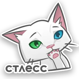 😦 СТЛЕСС cat, cartoon, stress, white cat, heterochromia, anxious, sticker telegram sticker