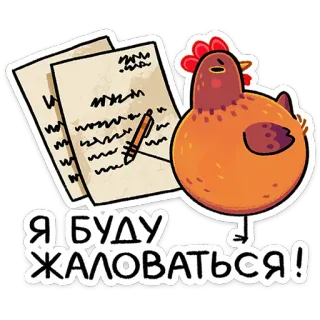 ⭐ Я БУДУ ЖАЛОВАТЬСЯ! kurczak, pisanie, list, narzekanie, zwierzę, ptak telegram sticker