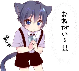 🙏 おねがいミィ！！ Catboy, Anime, Manga, Neko, Kawaii, Dễ thương whatsapp sticker