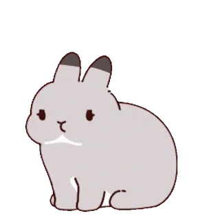 ๐ค bunny telegram sticker
