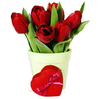 🌸 hoa, hoa tulip, đỏ, bó hoa, trái tim, tình yêu, quà tặng telegram sticker