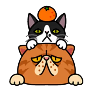 😈 кот, мандарин, стикер, животное, оранжевый, каваи whatsapp sticker