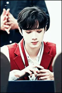 🕊 whatsapp sticker