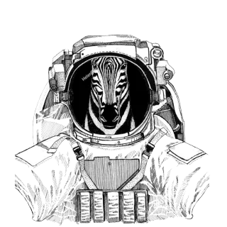 🌌 Helena zebra, astronauta, spazio, casco, animale, disegno telegram sticker