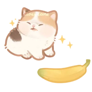 😣 kapebeans kucing, pisang, kawaii, imut, stiker, hewan, buah whatsapp sticker