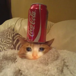 😭 kucing, coca-cola, soda, sedih, menangis, minuman telegram sticker