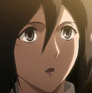 ❤️ Mikasa Ackerman Attack on Titan อนิเมะ, ตัวละคร, ผู้หญิง, จริงจัง, ผ่าพิภพไททัน, มิคาสะ แอคเคอร์แมน whatsapp sticker