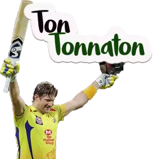 😊 Ton Tonnaton Kriket, Olahraga, Atlet, Tongkat pemukul, Perayaan, Kuning, Tim telegram sticker