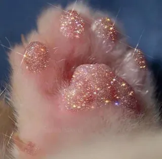 ✨ cat paw, glitter, shiny, cute, animal, sparkly, pet telegram sticker