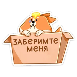 😕 ЗАБЕРИМТЕ МЕНЯ หมา, กล่อง, เศร้า, น่ารัก, สติกเกอร์ telegram sticker
