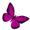 🦋