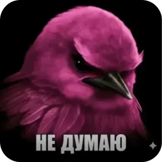 🐦‍⬛️ НЕ ДУМАЮ angry bird, pink bird, doubt, skepticism, meme, reaction telegram sticker