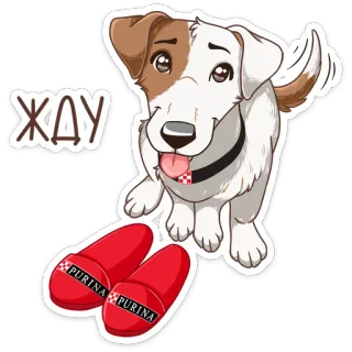 Питомцы :: @stickroom telegram stickers