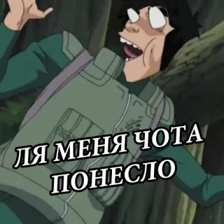 🖕 ЛЯ МЕНЯ ЧОТА ПОНЕСЛО gracioso, anime, texto ruso, dibujos animados telegram sticker