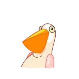 😃 pellicano, uccello, cartone animato, divertente, animale, natura telegram sticker