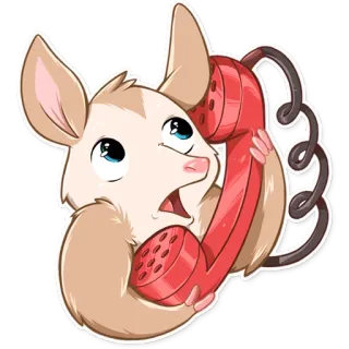 📞 Opossum, Điện thoại, Nói chuyện, Động vật, Phim hoạt hình, Sticker telegram sticker