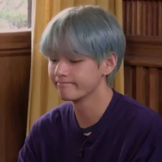 🐟 V K-pop, BTS, cantante, celebrità, ritratto telegram sticker