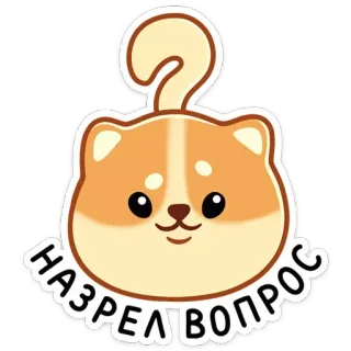 ❔ НАЗРЕЛ ВОПРОС 고양이, 질문, 귀여운, 스티커, 주황색, 동물, 카와이 telegram sticker