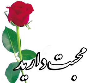 🌸 محبت دارید rose, flower, persian, love, greeting telegram sticker