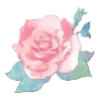 🌸