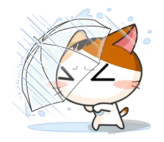 ☔️ gato, paraguas, lluvia, lindo, kawaii, animal, pegatina, dibujos animados telegram sticker