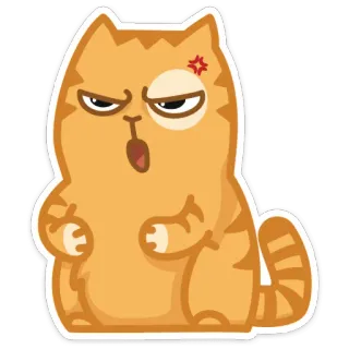 😡 chat, en colère, félin, animal de compagnie, animal, mignon telegram sticker