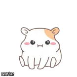 ✨ wontar hamster, fofo, animal, kawaii, animal de estimação telegram sticker