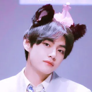 🐻 V V, BTS, K-pop, Айдол, K-pop Айдол, Человек, Знаменитость, Певец telegram sticker