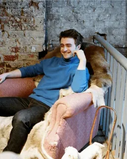 🐚 Daniel Radcliffe célébrité, acteur, personne, homme, pull bleu, souriant, chaise telegram sticker