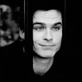 🖤 Damon Salvatore The Vampire Diaries vampiro, serie de TV, drama, paranormal, actor whatsapp sticker