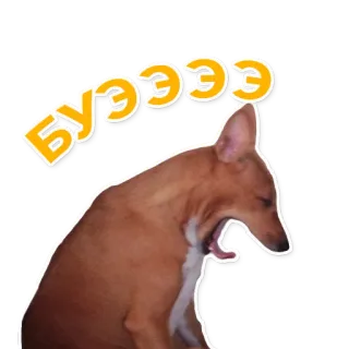 🤐 Буээээ dog, yawn, cute, animal, tired, pet telegram sticker