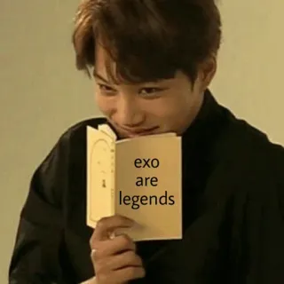 🌻 exo are legends exo, légendes, kpop telegram sticker
