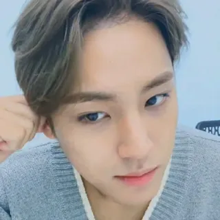💎 whatsapp sticker