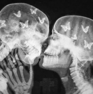 🦋 skull, x-ray, butterflies, kiss, love telegram sticker